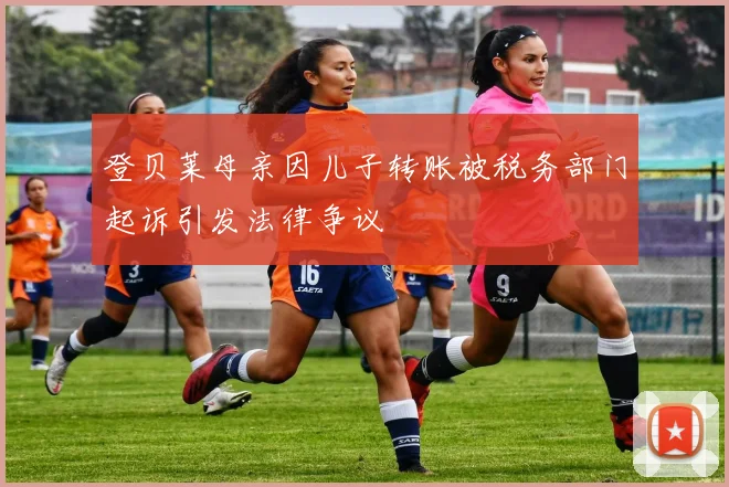 登贝莱母亲因儿子转账被税务部门起诉引发法律争议