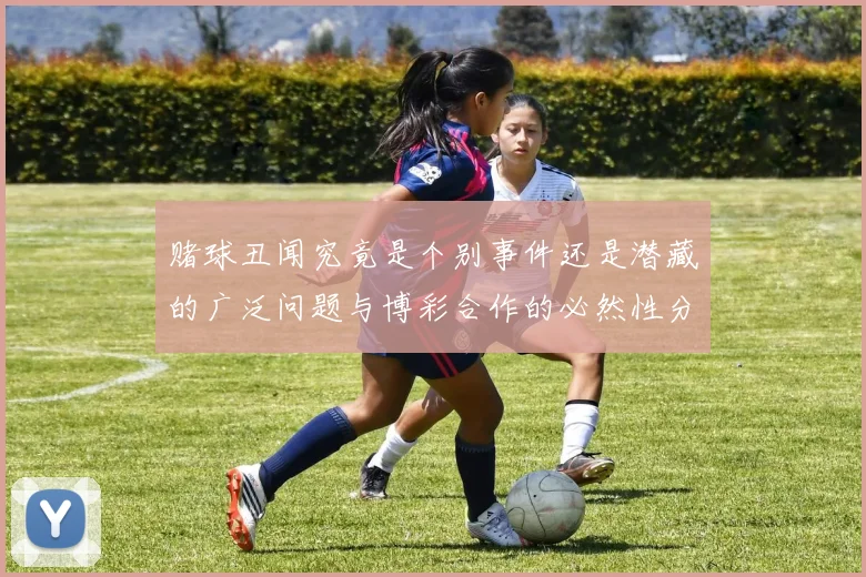 赌球丑闻究竟是个别事件还是潜藏的广泛问题与博彩合作的必然性分析