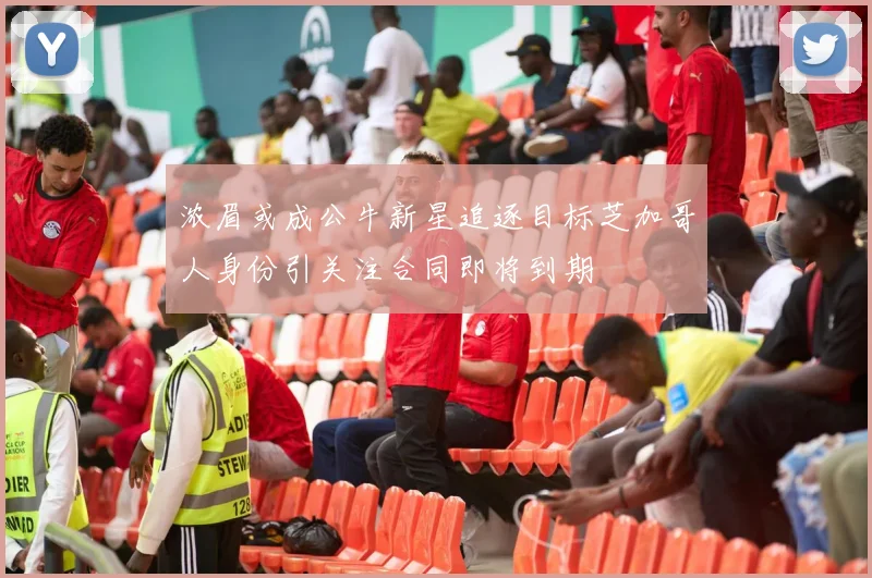 浓眉或成公牛新星追逐目标芝加哥人身份引关注合同即将到期